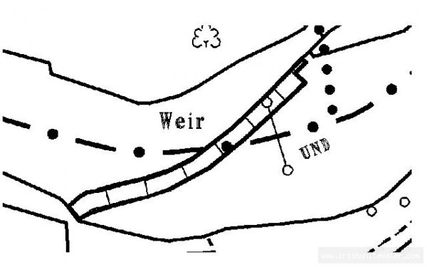  Liffey River - St wolstans weir map