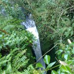 Photo of the Mullaghnagowan river in County Cork Ireland. Pictures of Irish whitewater kayaking and canoeing. Second Very narrow Slide/drop from above. Photo by Michael Flynn