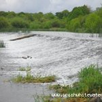 Photo of the Barrow river in County Carlow Ireland. Pictures of Irish whitewater kayaking and canoeing. Maganey Weir Upper Barrow.