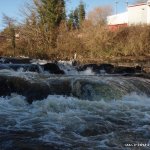  Ulster Blackwater (Benburb Section) River - the steps , medium water.