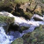  Glencree River - 