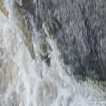  Liffey River - castletown rapids in flood again