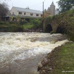  Nire River - view from just downstream of the bridge at hanora's cottage on river left side