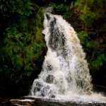  Tourmakeady Waterfall River - mid august