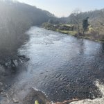  Avonmore (Rathdrum to the Meetings) River - Put in at Rathdrum bridge - just about runnable - see gravel beds river right