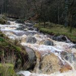 Photo of the King's River in County Wicklow Ireland. Pictures of Irish whitewater kayaking and canoeing. Annalecky Brooke, Wicklow. Photo by peter b