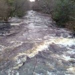  Avonmore (Annamoe) River - View downstream from Oldbridge in flood. 16/01/10