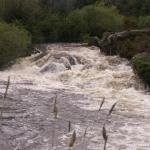 Photo of the Upper Bandon river in County Cork Ireland. Pictures of Irish whitewater kayaking and canoeing. BIG DROP @ +1.0M. Photo by Dave P