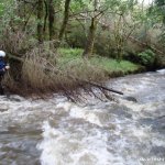 Photo of the Ballintrillick river in County Sligo Ireland. Pictures of Irish whitewater kayaking and canoeing. Typical obstacle. Photo by RK