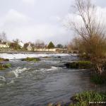  Maigue River - bruree 