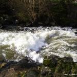 Photo of the Maigue river in County Limerick Ireland. Pictures of Irish whitewater kayaking and canoeing. brure 3. Photo by tom