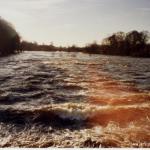 Photo of the Lower Shannon (Castleconnell) in County Limerick Ireland. Pictures of Irish whitewater kayaking and canoeing. View of flooded Shannon. Photo by Peter