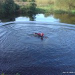  Barrow River - Seal Launching into the pool beside the carpark at clashganny