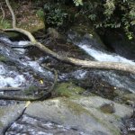  Woodstock Falls (Inistioge) River - 