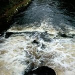  Owenriff River - Downstream of the footbridge