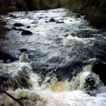  Owenriff River - Upstream of the footbridge