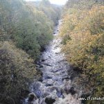  Glenarm River - View from the bridge