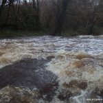  Bannagh River - Barb wire fence sometimes present