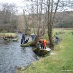 Photo of the Pollanassa (Mullinavat falls) river in County Kilkenny Ireland. Pictures of Irish whitewater kayaking and canoeing. The view downstream of the waterfall - tree hazards!. Photo by TW