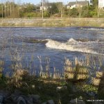 Photo of the Nore river in County Kilkenny Ireland. Pictures of Irish whitewater kayaking and canoeing. Green's bridge Medium water. Photo by Adrian Shanahan