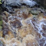  King's River River - Annalecky Brook (medium - heading towards - high