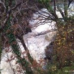 Photo of the Lowerymore river in County Donegal Ireland. Pictures of Irish whitewater kayaking and canoeing. Obscured view of the first drop/slide on the river left channel - Note: there's a tree down - High water. Photo by Seanie