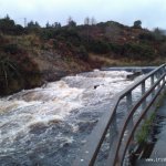  Lowerymore River - Top section steps river right - High water