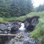  Upper Owenglin River - The main forestry section with no water.