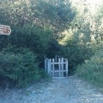  Upper Owenglin River - The pathway way from the 'Clifden Glen' estate to Simons Falls. 