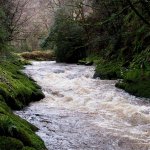  Colligan River - entry to gorge above and first rapid/drop high water