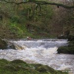  Colligan River - River wide natural weir in high water a little retentive