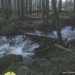 Photo of the Glensheelan river in County Waterford Ireland. Pictures of Irish whitewater kayaking and canoeing. Footbridge in water at start of river, get in anywhere just below this. Photo by Michael Flynn