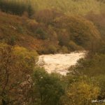  Upper Flesk/Clydagh River - The Sligger at Derrymaclavode on the Clydagh 23oct08