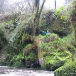 Photo of the Owennashad river in County Waterford Ireland. Pictures of Irish whitewater kayaking and canoeing. launch point below technical section see tony 15ft above the water? you'll find another pic of the m3 he's in on the mahon's photo section. Photo by michael flynn