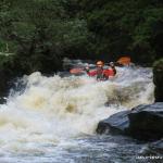  Colligan River - salmon leap