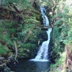 Photo of the O'Sullivans Cascades in County Kerry Ireland. Pictures of Irish whitewater kayaking and canoeing. O'Sullivan's cascade in Tomies Woods, Killarney, Ireland. http://flickr.com/photos/epc/. Photo by epc