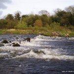 Photo of the Suck river in County Roscommon Ireland. Pictures of Irish whitewater kayaking and canoeing. Another view of the final drop, play wave far side.. Photo by Eoin Hurst