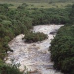 Photo of the Bunhowna river in County Mayo Ireland. Pictures of Irish whitewater kayaking and canoeing. Final rapids. Photo by Graham Clarke