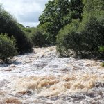 Photo of the Boluisce river in County Galway Ireland. Pictures of Irish whitewater kayaking and canoeing. Top section  very high water in Autumn 2008  last chance eddy is on river right somewhere down there. Photo by Ross Lynch