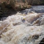 Photo of the Avonmore (Annamoe) river in County Wicklow Ireland. Pictures of Irish whitewater kayaking and canoeing. Jacksons, Medium water
. Photo by eoinor