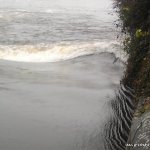  Lee River - with the tree on the weir this is the wave at the river right corner of the weir