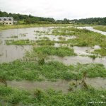  Boyne River - Boyne at Slane Bridge upstream