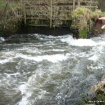 Photo of the Six Mile Water river in County Antrim Ireland. Pictures of Irish whitewater kayaking and canoeing.