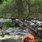  Mayo Clydagh River - Strainer at the bottom of the gorge on the lower section.Run it river left.