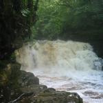 Photo of the Clare Glens - Clare river in County Limerick Ireland. Pictures of Irish whitewater kayaking and canoeing. Big Eas - Daithi. Photo by Ed McCarthy