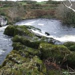  Upper Bandon River - Big Drop now runnable on far River Right @ high levels 0.7M + : Trees Trimmed