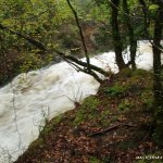  Glengarriff River - canrooska tributary