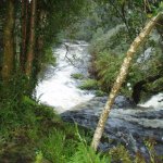  Ilen River - cascade from above