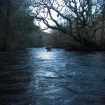 Photo of the Aughrim river in County Wicklow Ireland. Pictures of Irish whitewater kayaking and canoeing. tree section. Photo by steve fahy