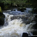 Photo of the Derreen river in County Carlow Ireland. Pictures of Irish whitewater kayaking and canoeing. Photo by chris oloan